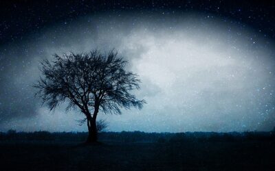 Rejection & Complex Trauma